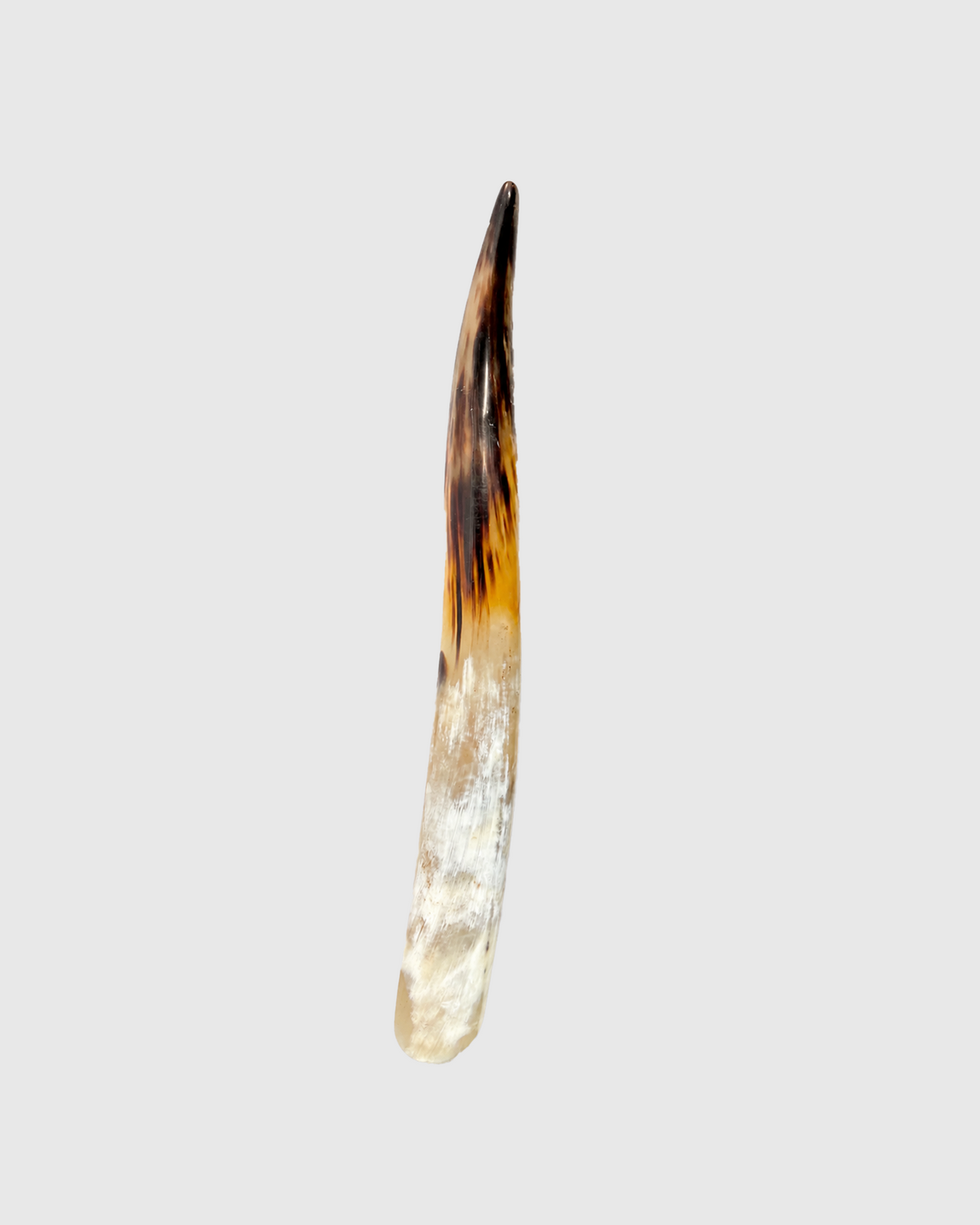SHOE SPOON - L