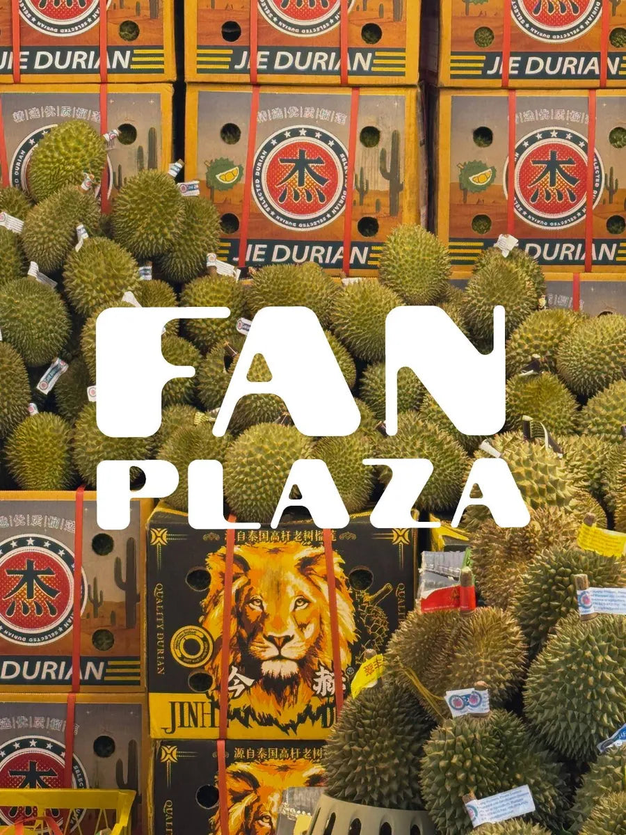 FAN PLAZA — market impressions
